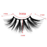 Diva Lash (Entrepreneur)